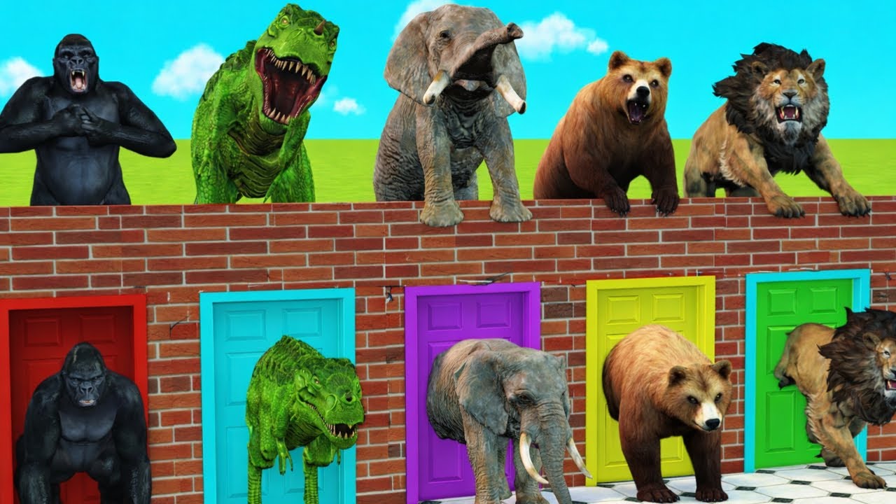 Long Slide Game With Cow Elephant Gorilla Hippopotamus Tiger 3d Animal Game Funny 3d Animals