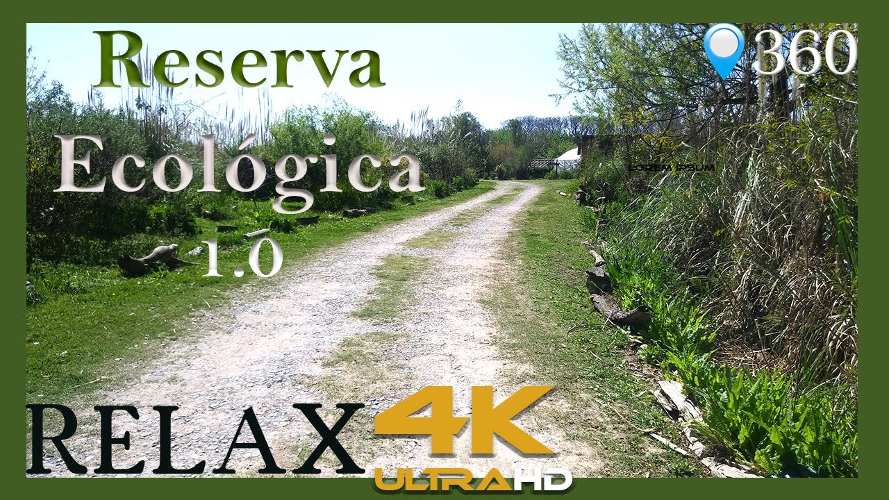 RESERVA ECOLOGICA 1.0🌿 RELAX😌 | Música y Sonido ambiente 🎵