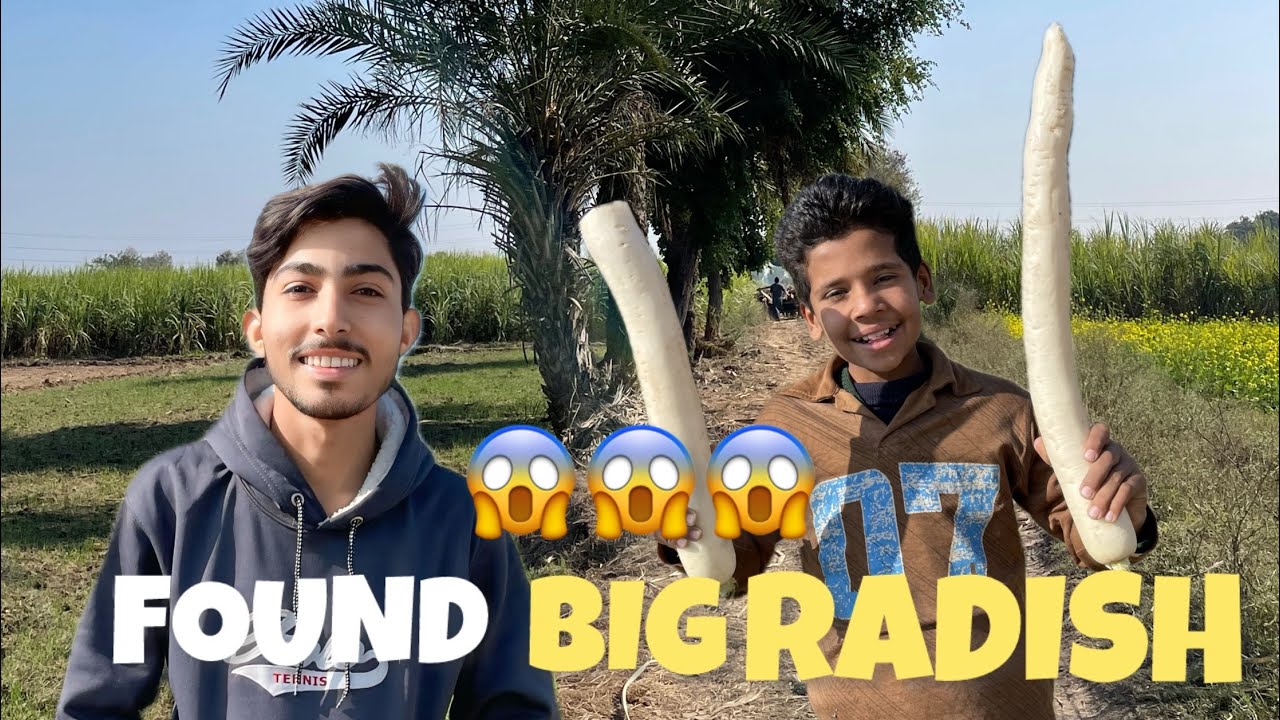 FOUND BIG RADISH😱😱😱 | Watch till End 🤣