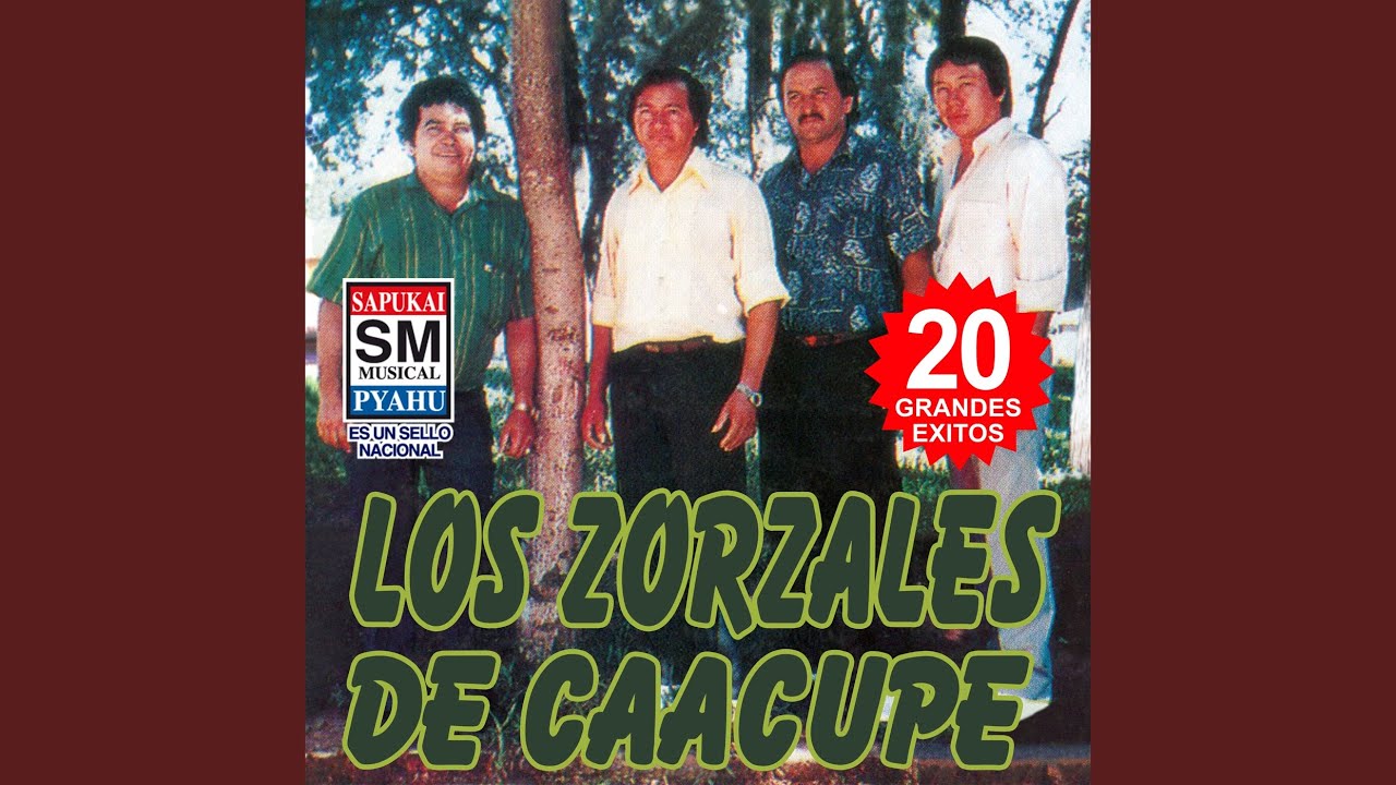 Tuicha mba'e la sogue