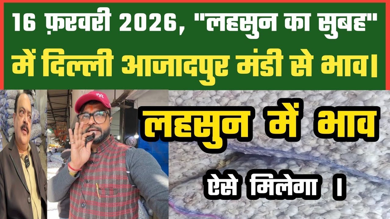 लहसुन में अच्छा भाव ऐसे लो ? Azadpur Delhi Mandi Today 16-02-2026 को बने ऐसे Garlic Price DMT TV