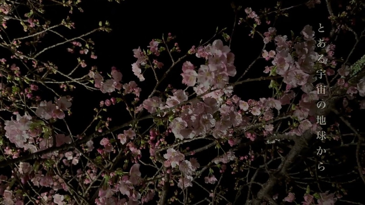 ２月、メジロに出会う早春のお花見より 2026
