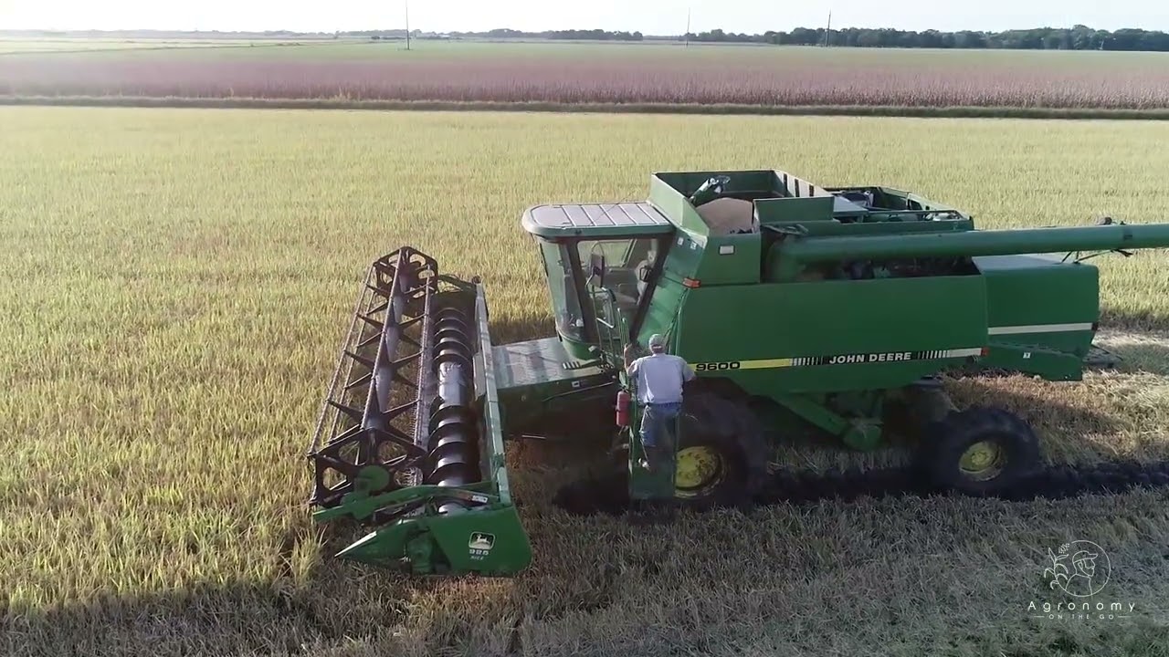 Texas Rice Harvest: Please Stop Raining