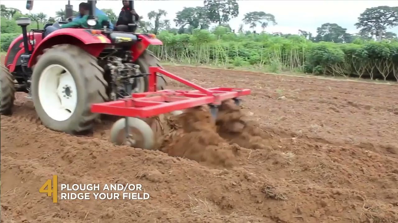 Best planting practices & weed control 1