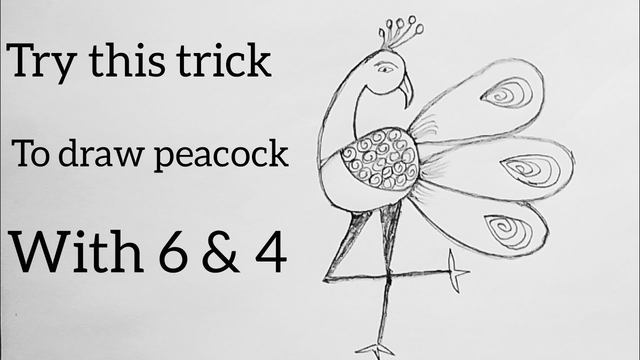 How to draw peacock step by step for beginners by number 6 and 4