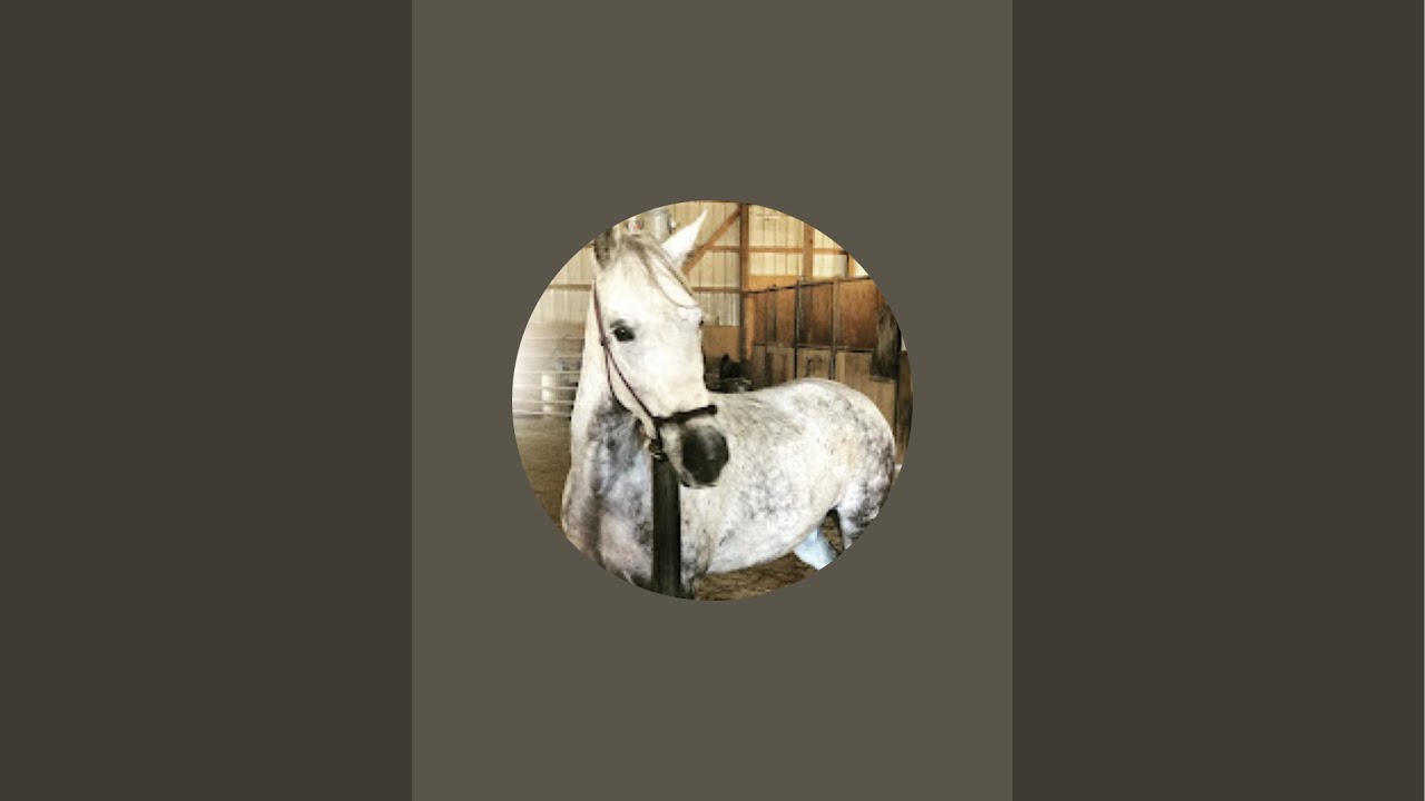 Smooth Moves Ranch is live!