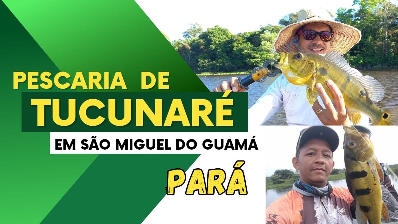 pesca de tucunaré na cidade de são Miguel do Guamá