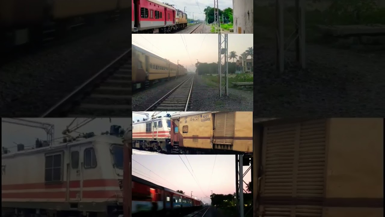Gzb WAP7 & WAP5 #shorts 🤩⚪️⚪️🔥