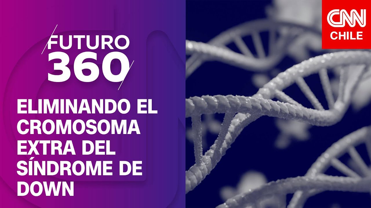 Científicos japoneses logran eliminar el cromosoma extra del síndrome de Down | Futuro 360