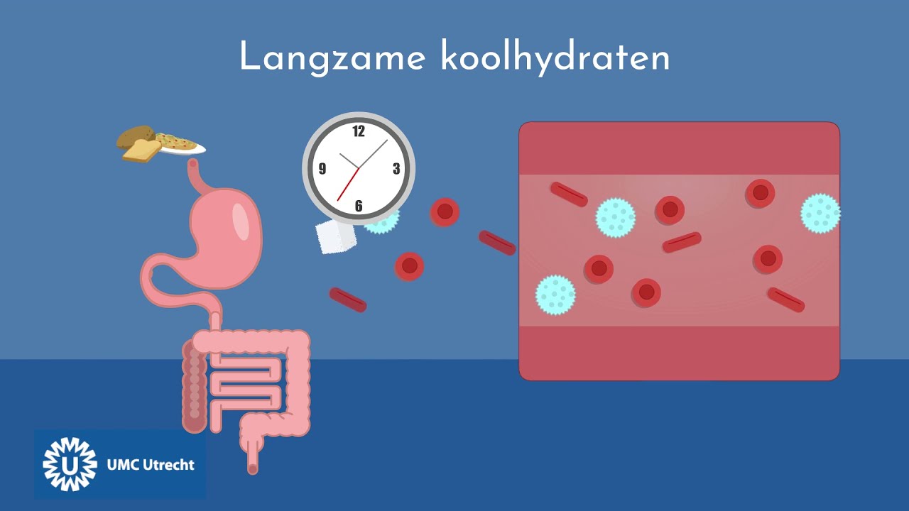 Wat zijn koolhydraten? - Voeding | UMC Utrecht