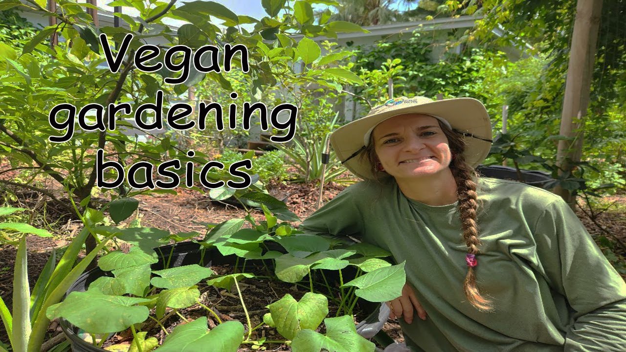 Vegan gardening basics - Florida