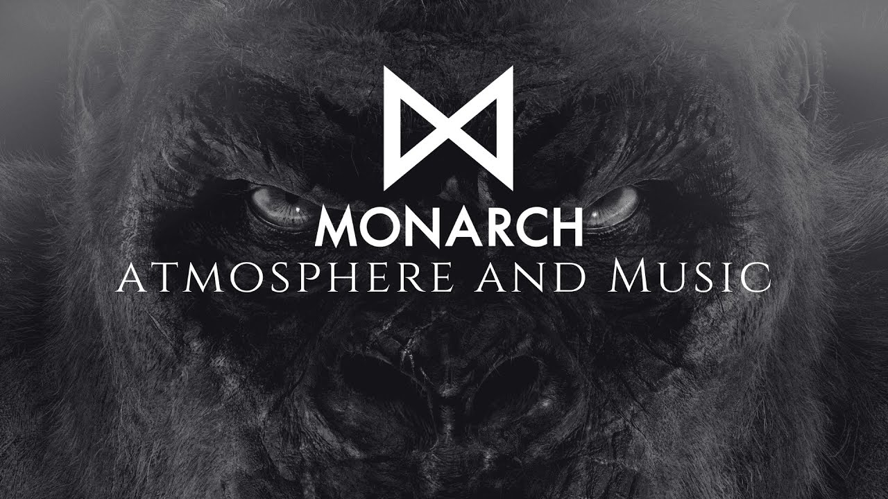 Monarch Files - Kong Immersive Ambience