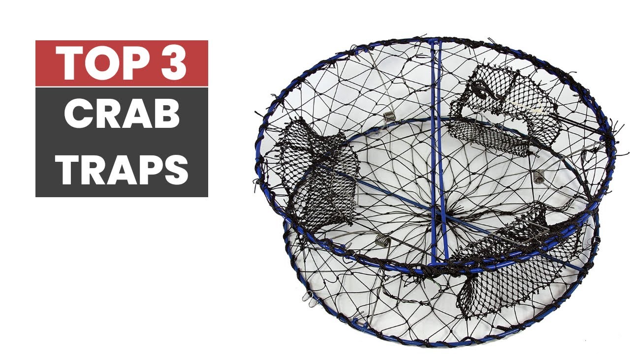 Catch More Crabs with the Best Crab Traps of 2023
