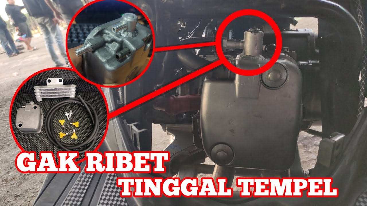 PASANG OIL COOLER BEAT SIMPLE TANPA RIBET