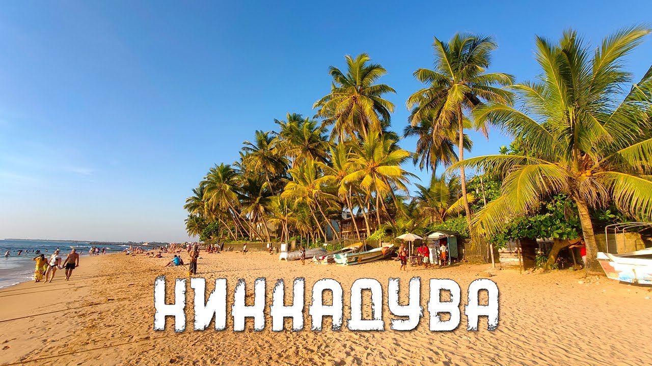 Лучший снорклинг на Шри-Ланке