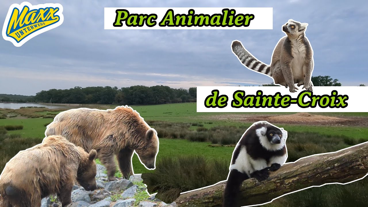 Parc animalier de Sainte Croix | Megazoo  Saarebourg | 2024
