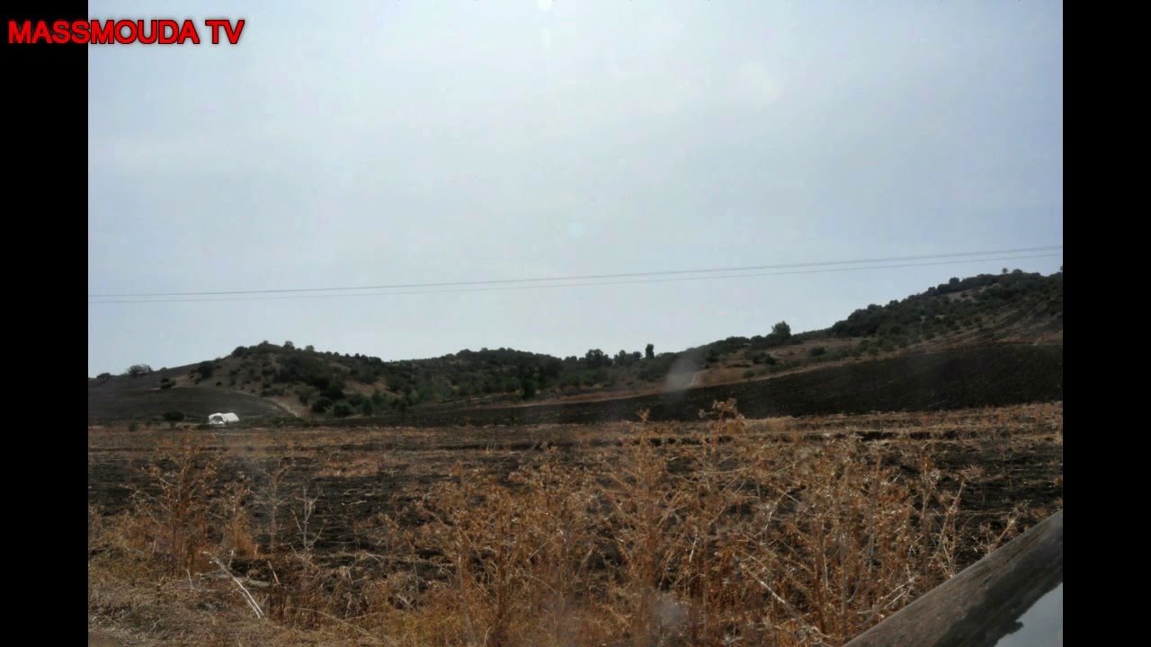 سهزة حية مع ولد محجوبة