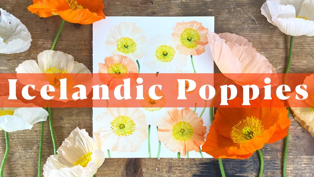 Quick and Easy Watercolour Icelandic Poppies
