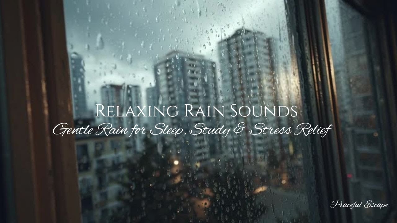 Relaxing Rain Sounds 🌧️ Gentle Rain for Sleep, Study & Stress Relief