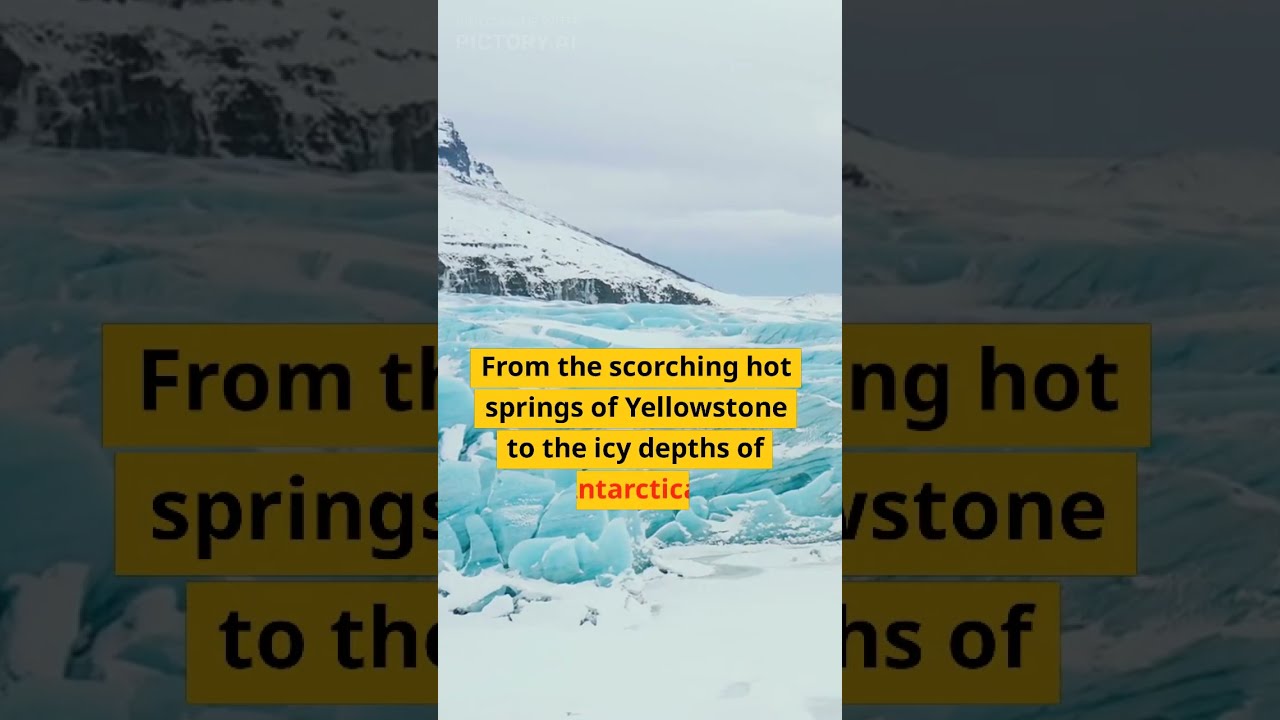 The Extremophiles: Life Forms that Thrive in the Most Extreme Environments #shorts