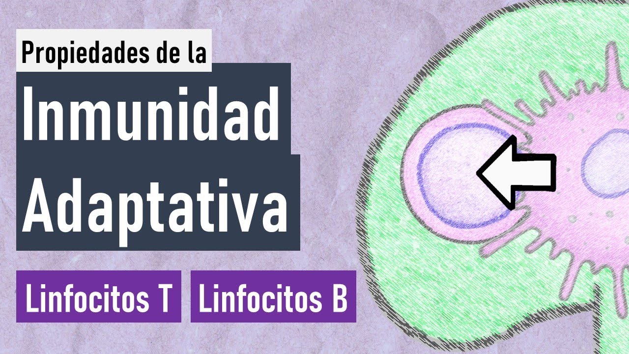 Inmunidad Adaptativa | Memoria, Especificidad, Diversidad, Especialización...