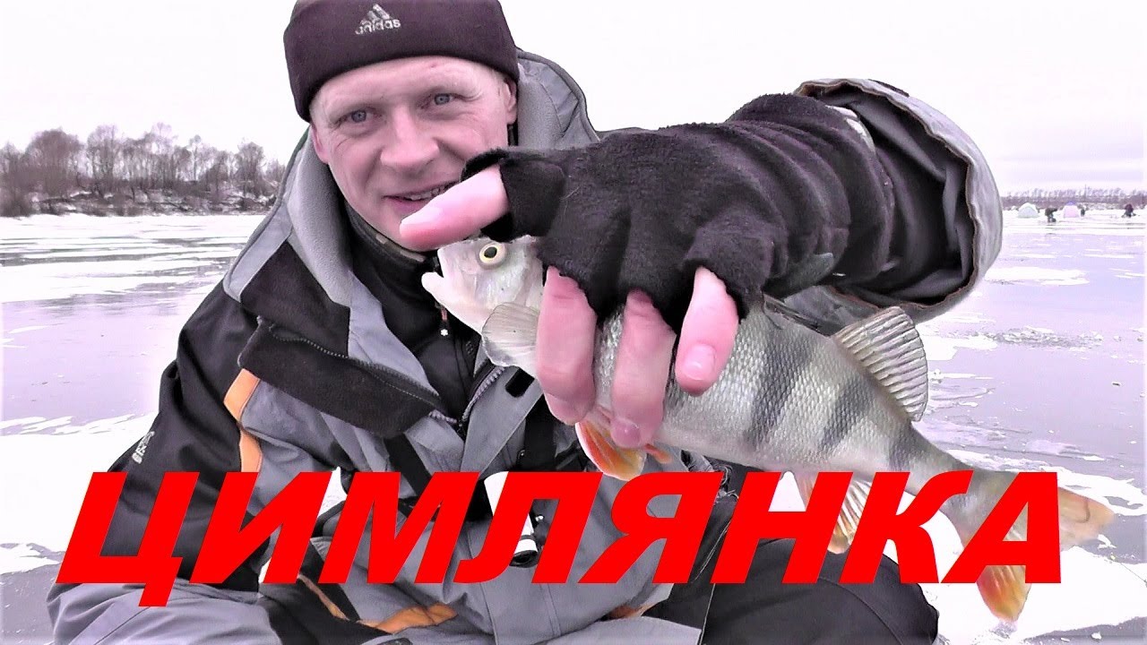 Зимняя Рыбалка на Окуня. Любимый водоём Подмосковных Рыболовов.