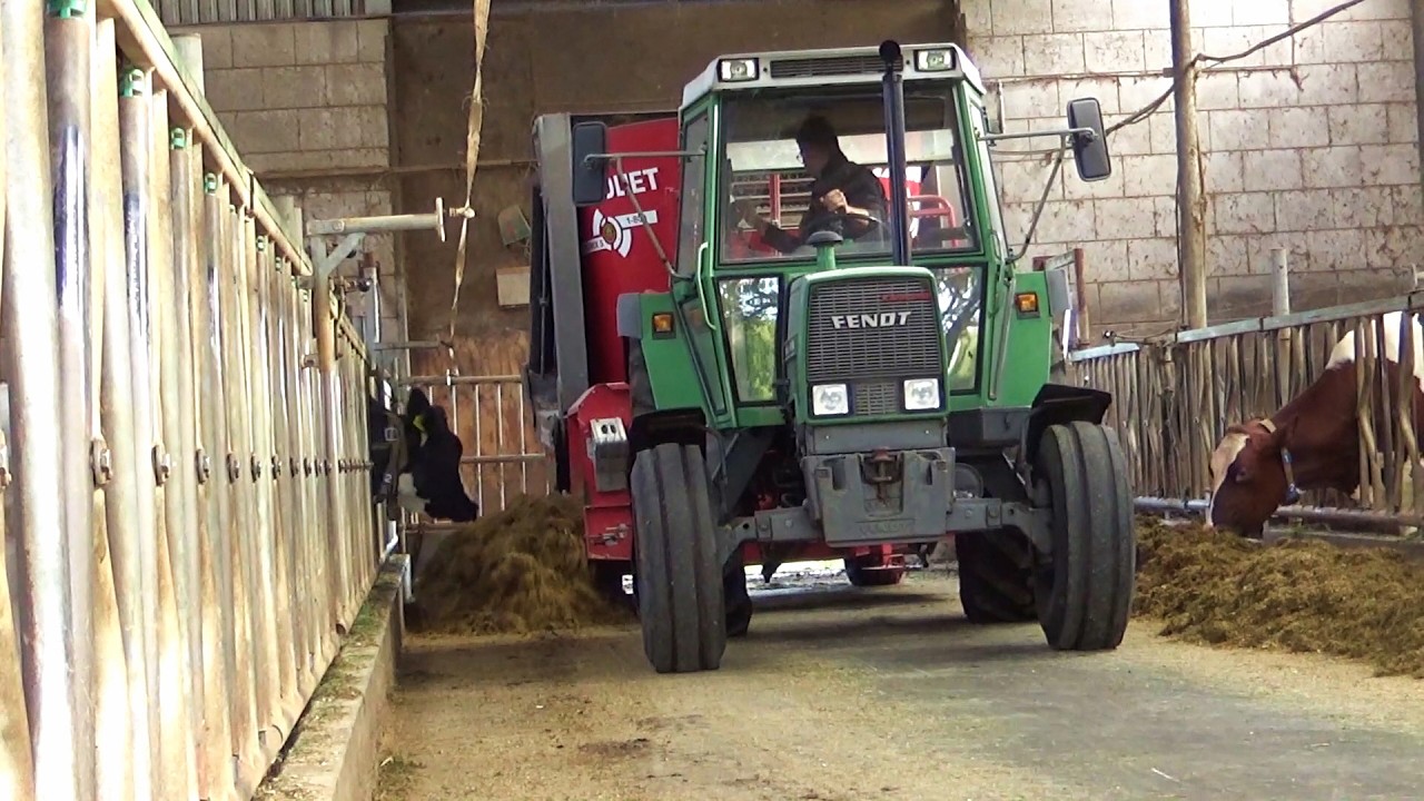 Triomix feeding cattle