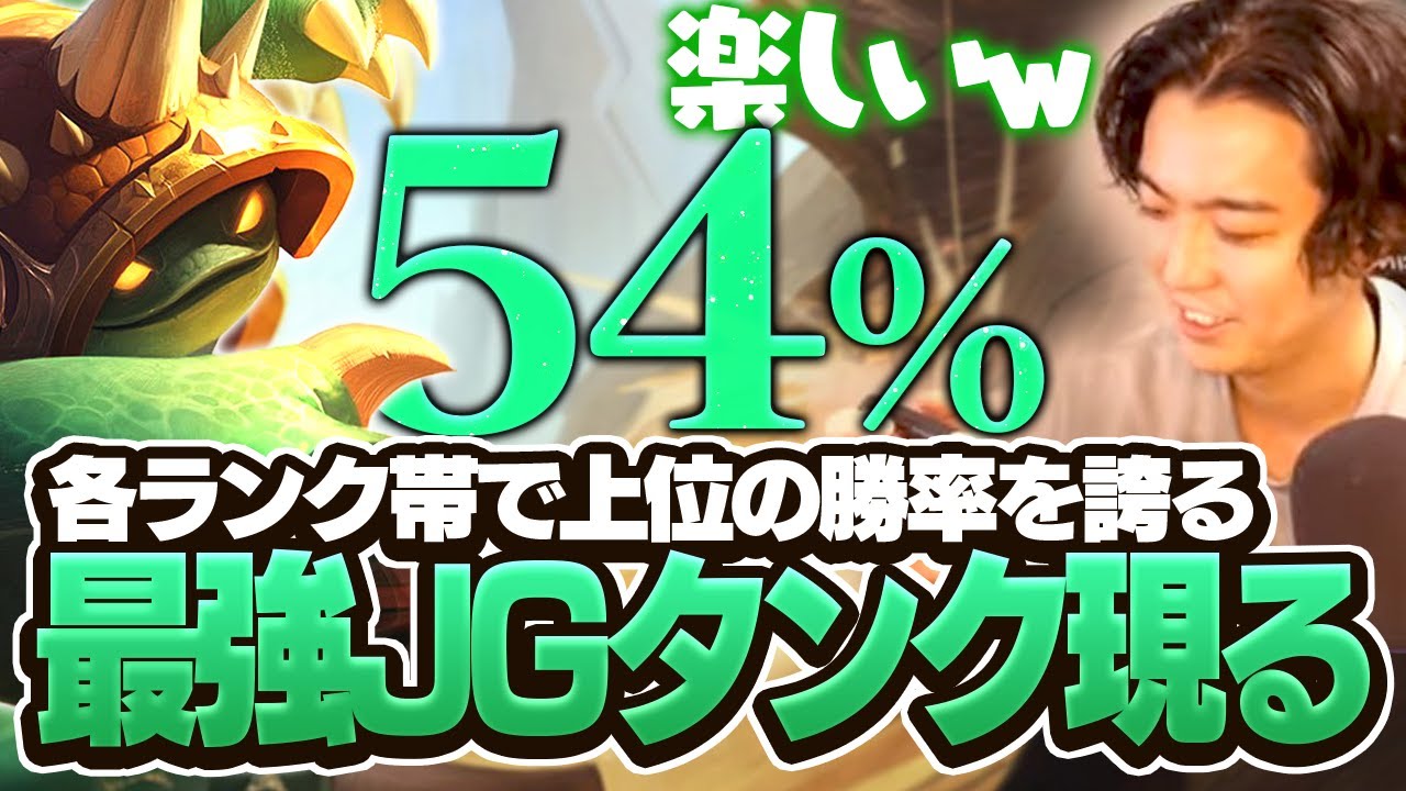 勝率二位のラムスやってみたけど、殴られるだけでダメージ出せるの気持ち良すぎだろ！！ｗ【ワイリフ】