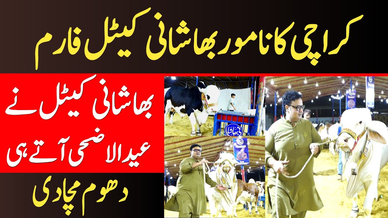 Famous Cattle Farm in karachi Expensive & Biggest Cow in BHASHANI CATTLE FARM | GUP SHUP TV
