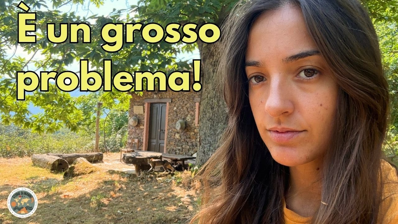 Casa nel bosco 🌳