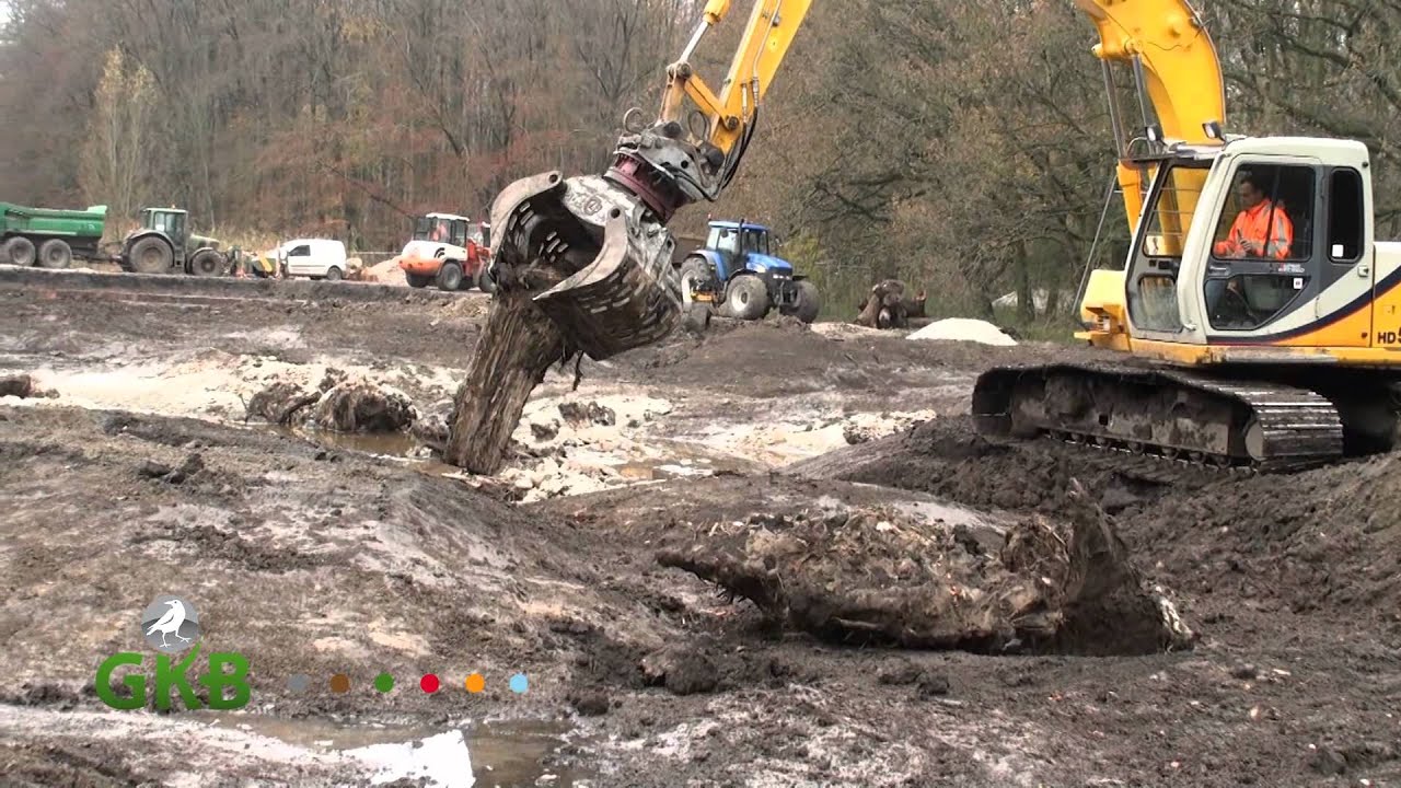 vistrap Kralingsebos