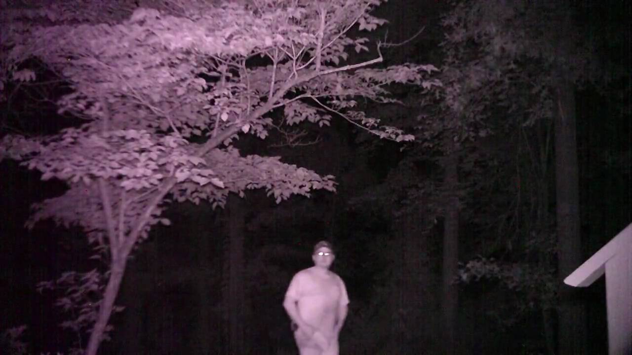 [100MEDIA].FILE0004.MOV