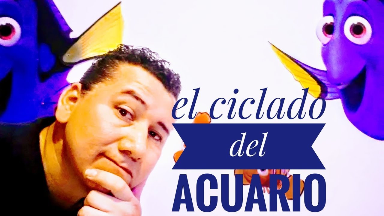 la importancia del ciclar el acuario marino