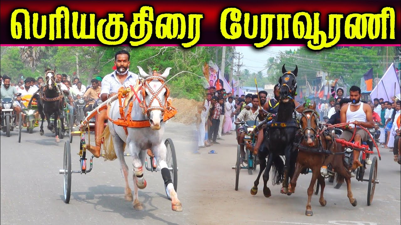 பேராவூரணி பெரியகுதிரை (27.01.2026) பந்தயம் #perai_raj_digital #reklarace #horserace 