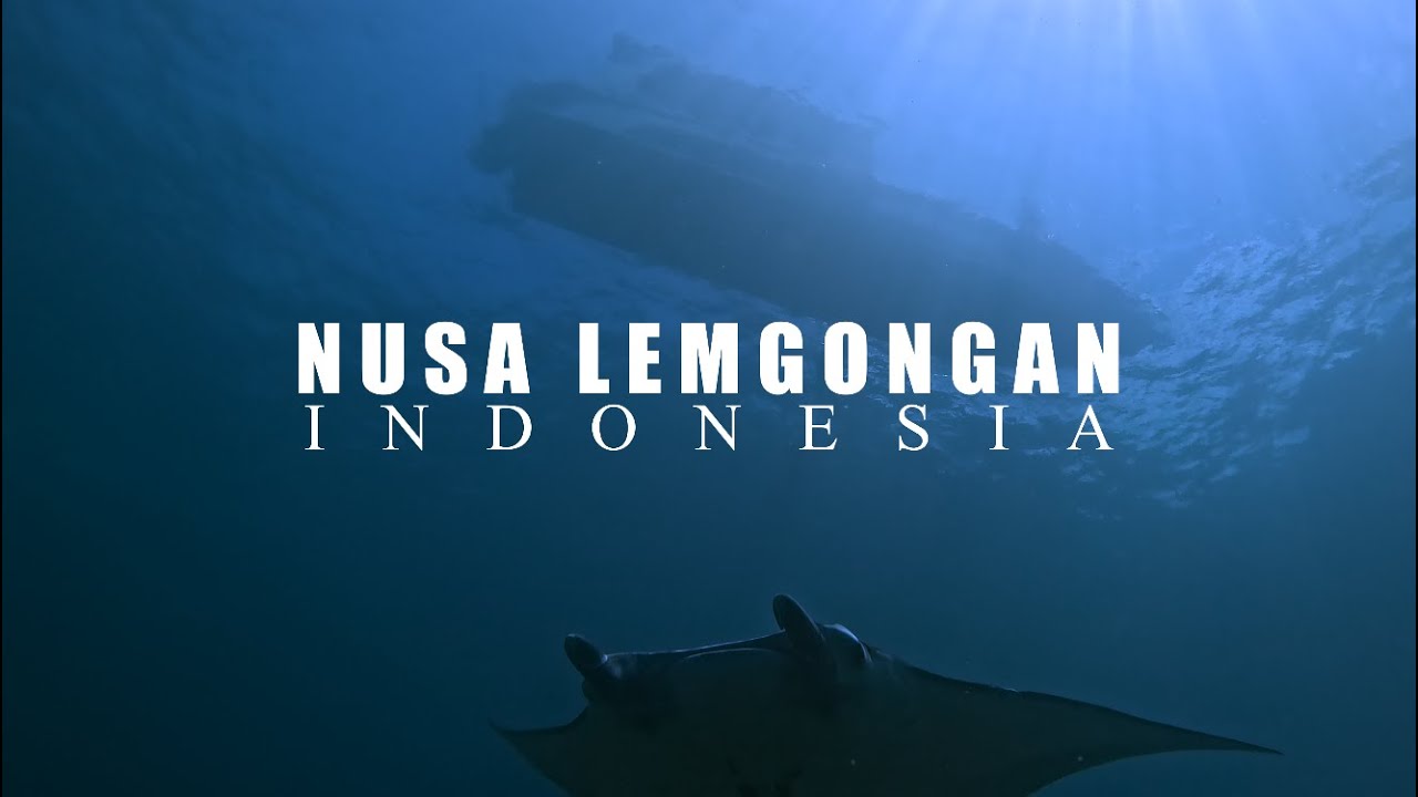 Indonesia - Lembongan - Diving 2025