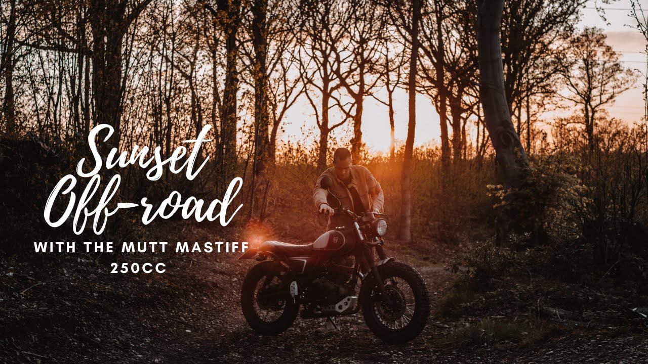 Sunset Off Roading with the Mutt Motorcycles Mastiff 250!