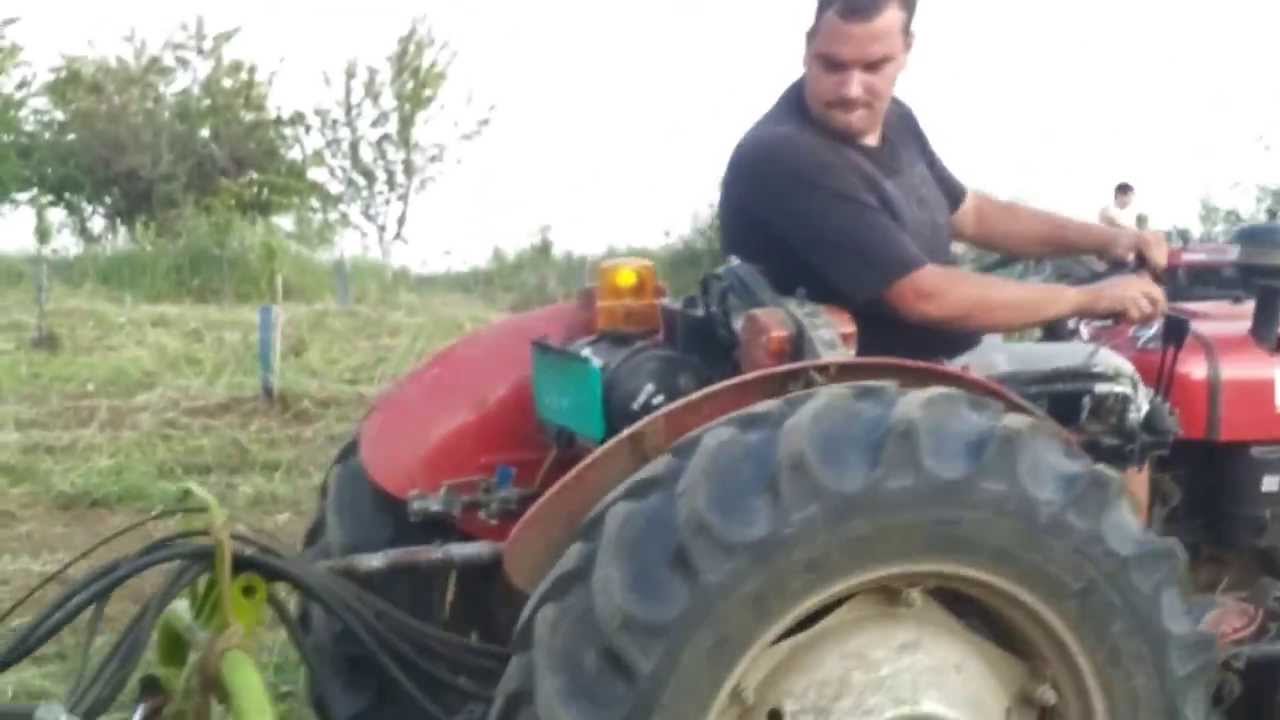 ritopek obrada voca