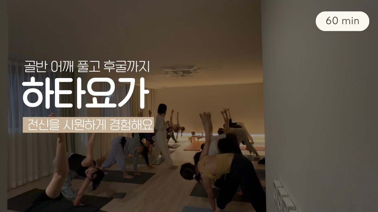 골반 어깨 풀고 후굴까지 하타요가 | 전신강화 | 수련영상 | 60분수련 | 요가하루