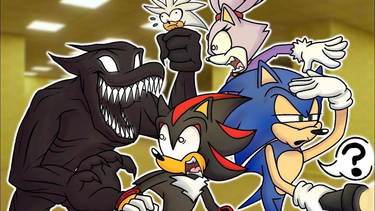 Sonic Idiots Take on The Backrooms