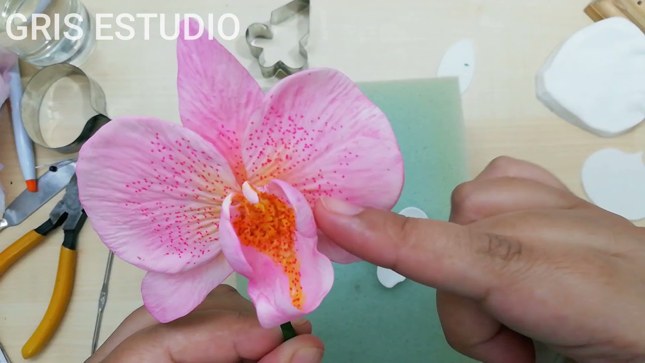 Orquideas en Porcelana Fría