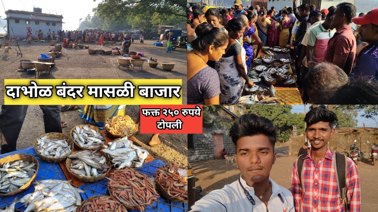 Dabhol bandar fish market | मच्छी लिलाव | 250 ला टोपली 😲