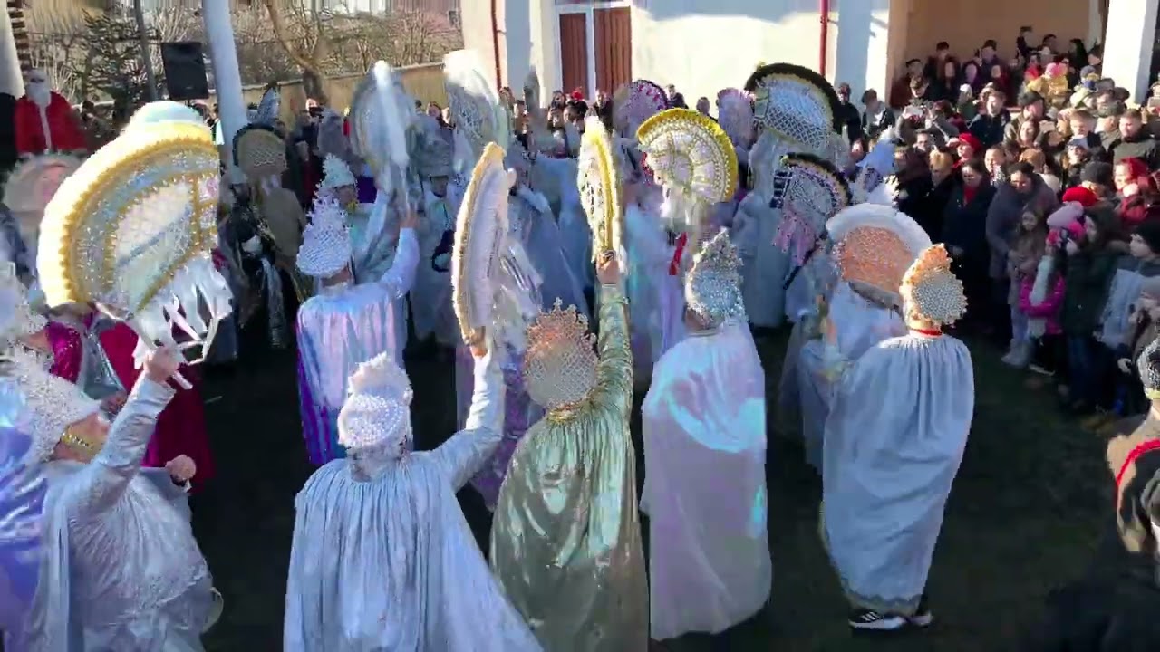 Bestial de buni Banda Plevnărenilor 2025 ❤️🍷🙏👏👏👏