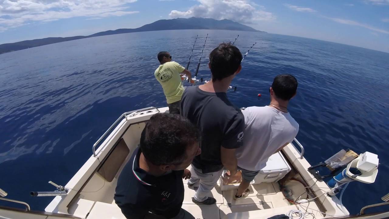 Tonni in drifting  con strike in diretta - catch & release