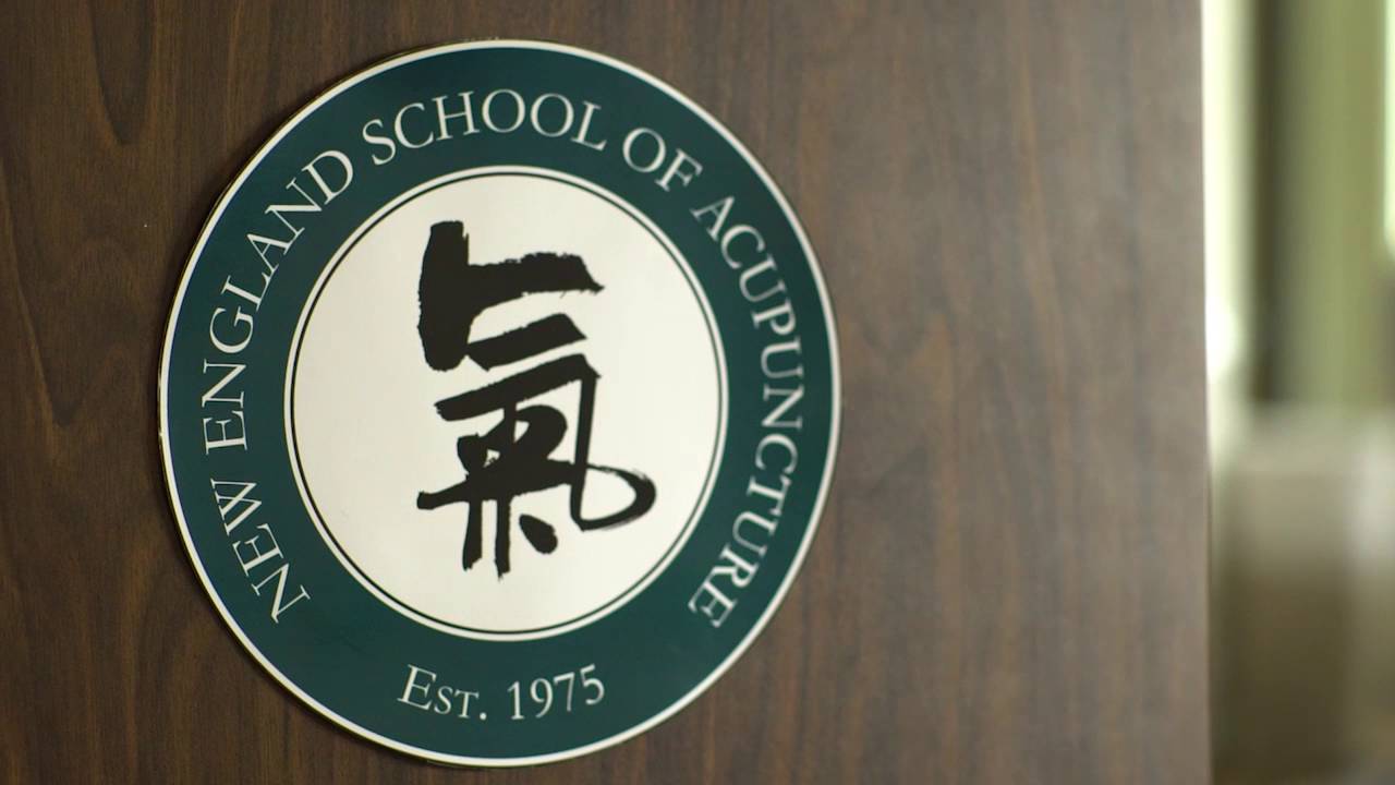 NESA at MCPHS: A Strong Partnership