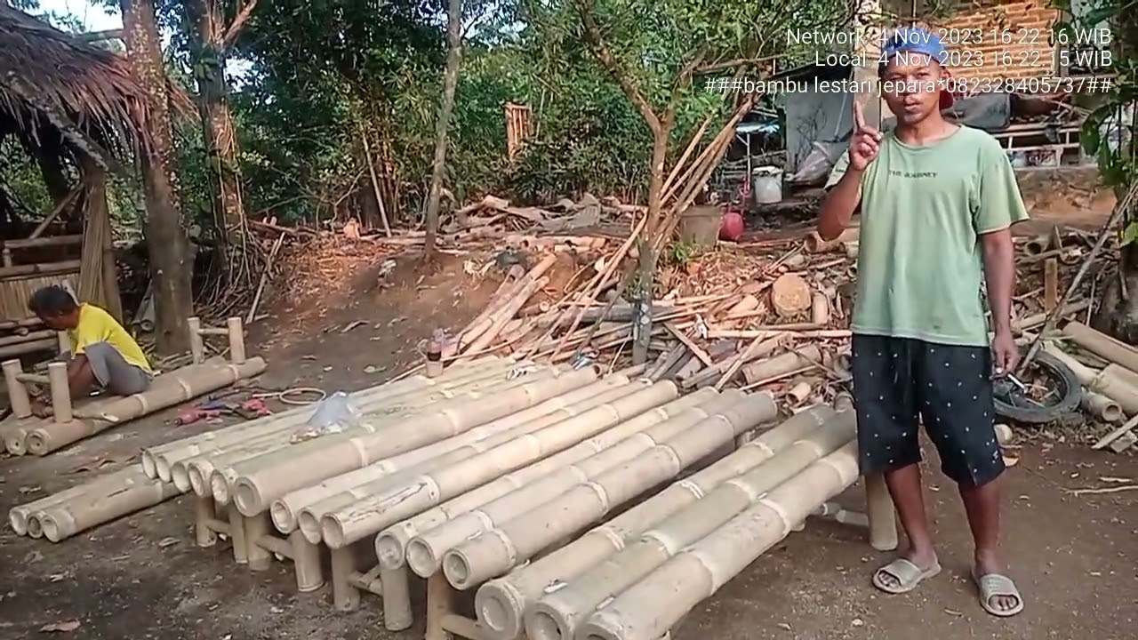 blambu(blabag bambu )bangkau bambu langka di dunia