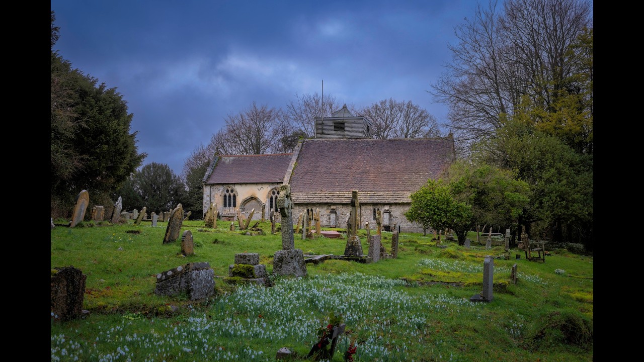 Snowdrops at Damerham2