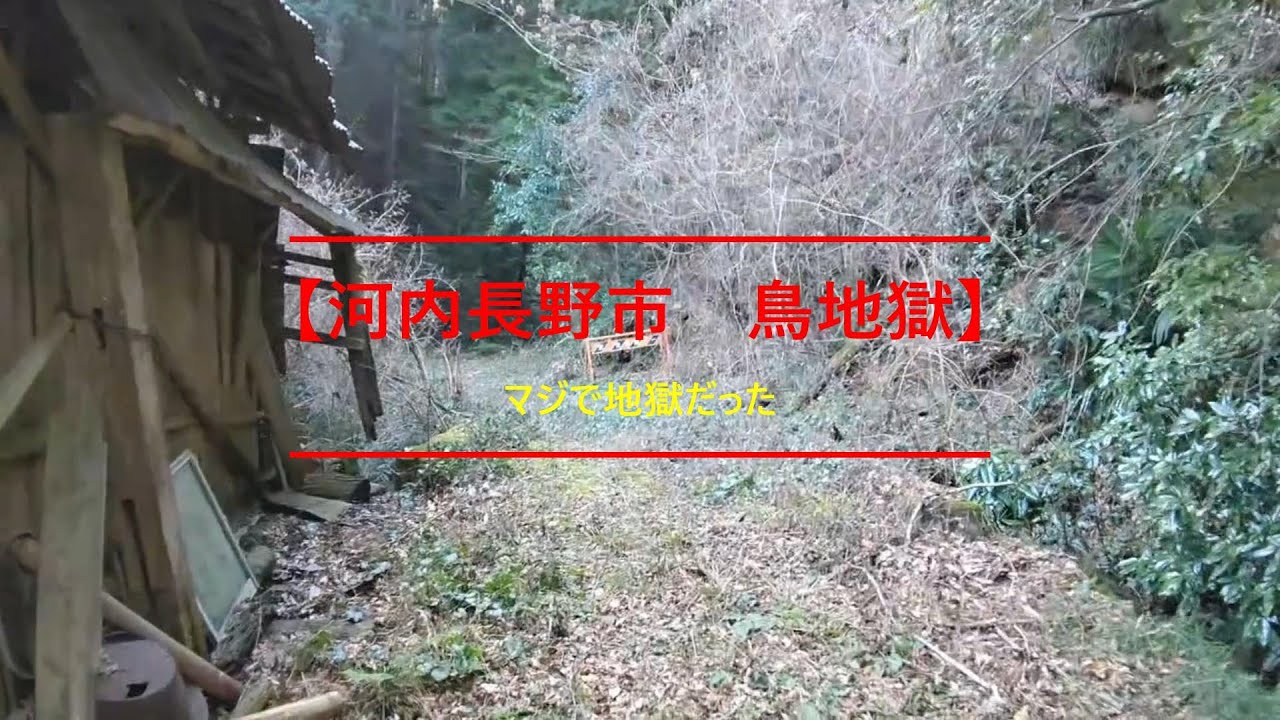 【河内長野市　鳥地獄はマジで地獄だった】大阪府は河内長野市にあります鳥地獄へ行きました。温泉の様に湧き出た水が炭酸ガスによりボコボコと音を立て・・・