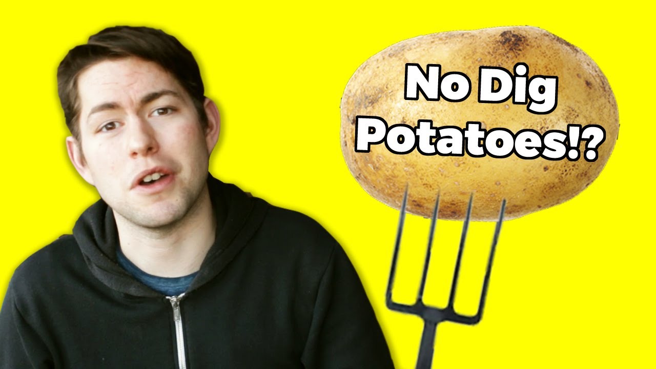 Better Harvest in 2019!? Planting My No Dig Potatoes -  (Allotment Diary UK)