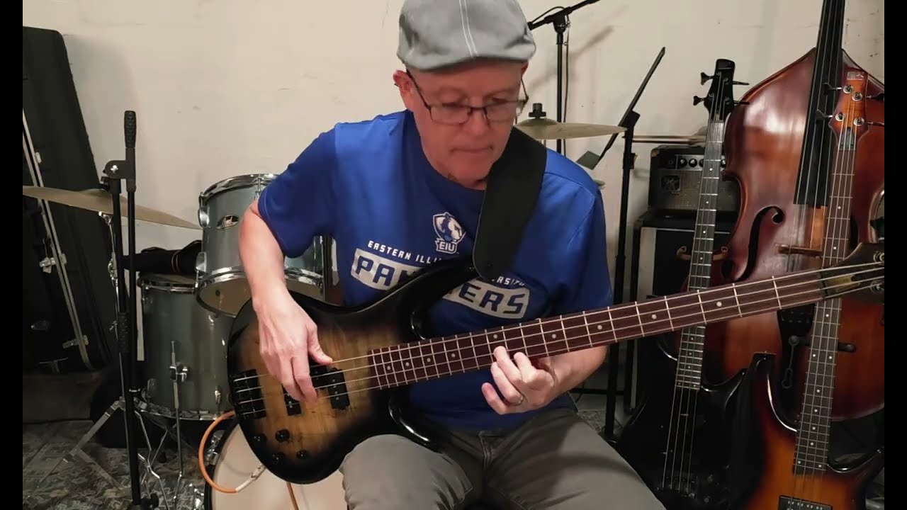 Ibanez GIO SR200 long term comprehensive review