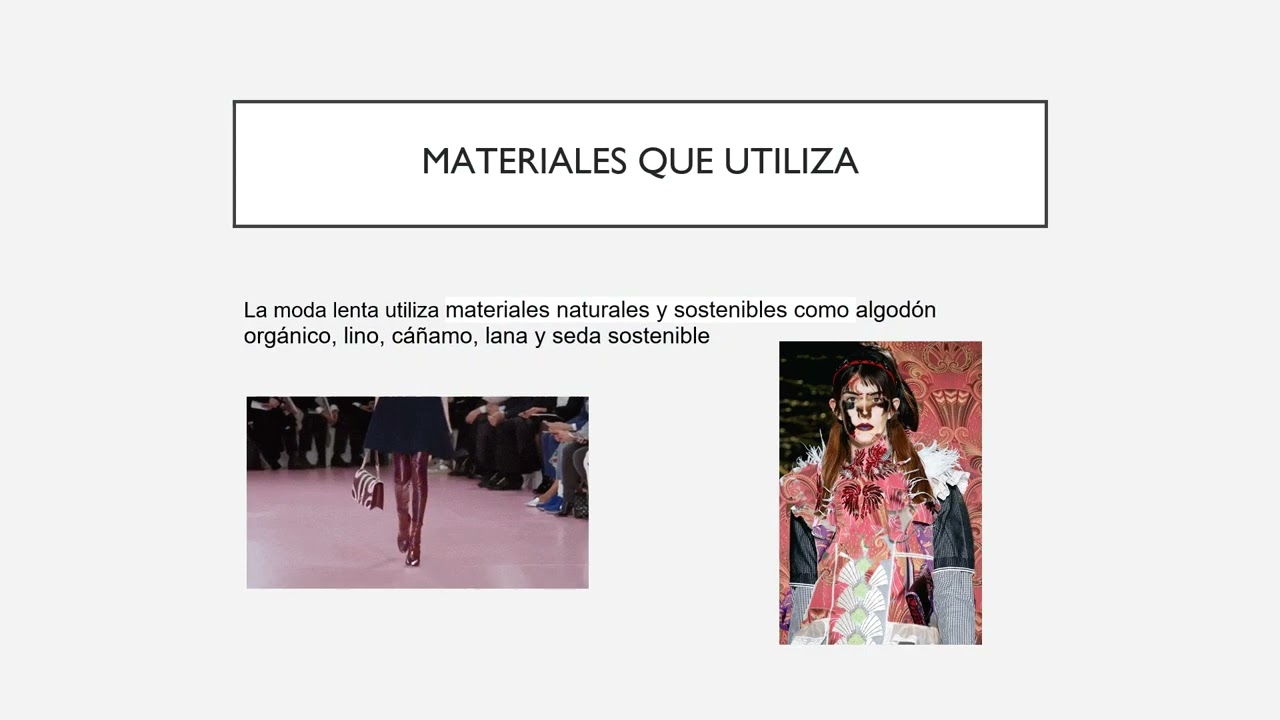Moda rapida y moda lenta Ana Lu